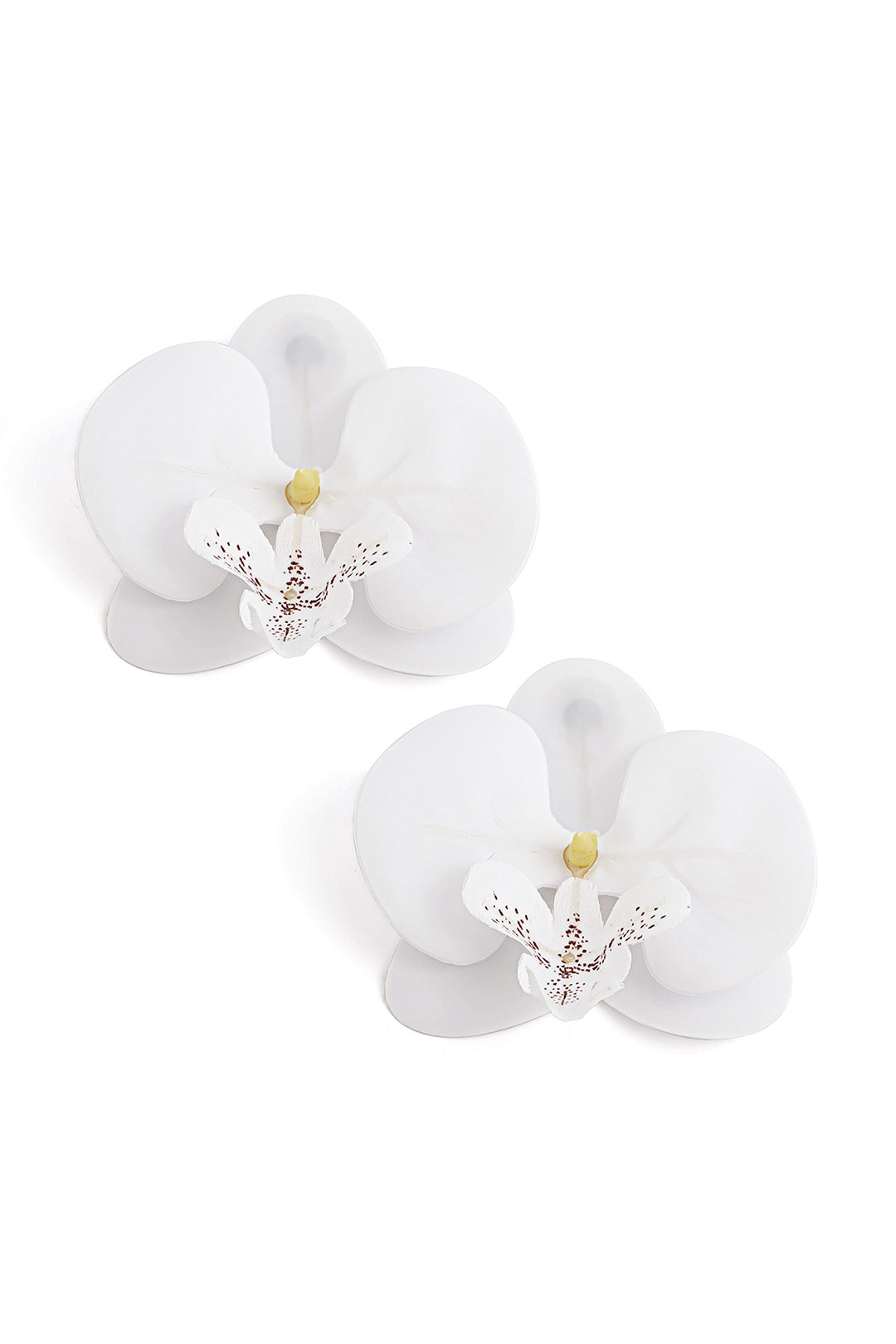 Phalaenopsis Orchid Flower Earrings