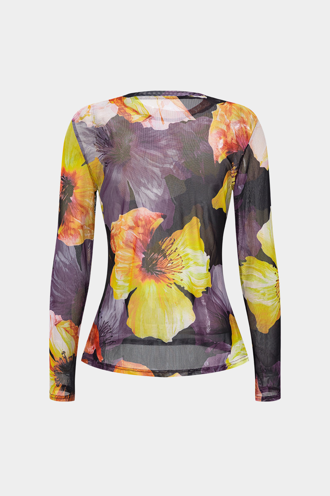 Floral Print Mesh Round Neck Long-Sleeve Top