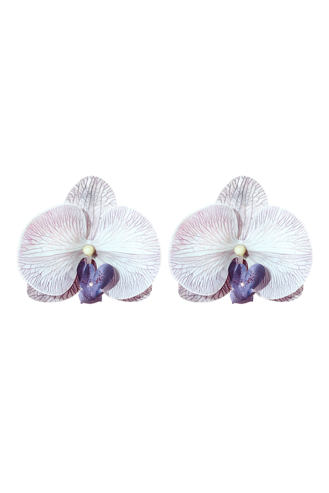 Phalaenopsis Orchid Flower Earrings