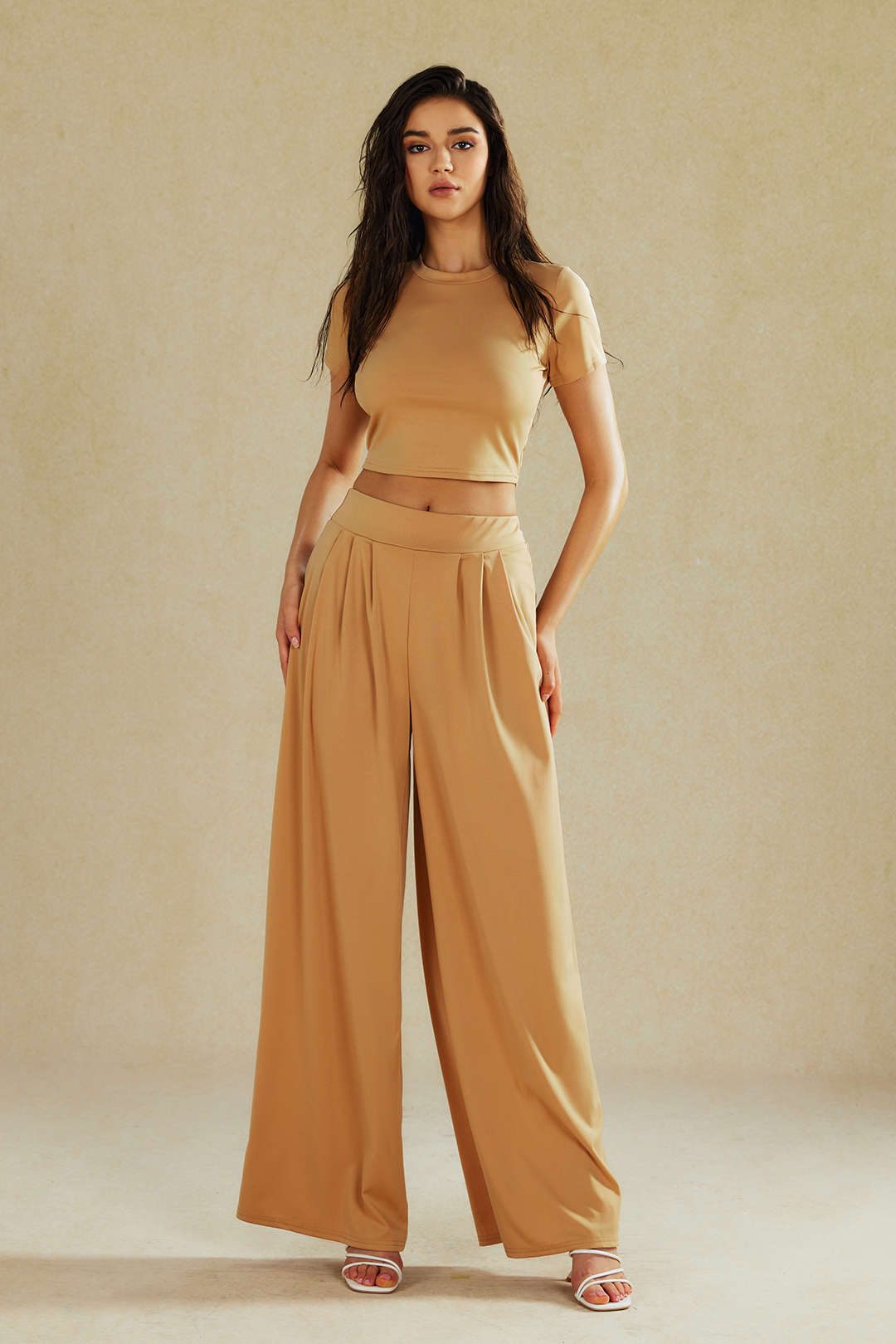 Basic Solid Crop T-shirt And Pleated High Waist Wide Leg Pants Set