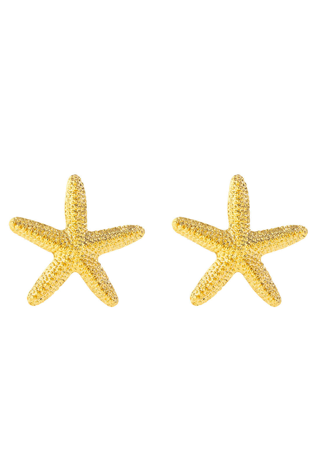 Starfish Earrings