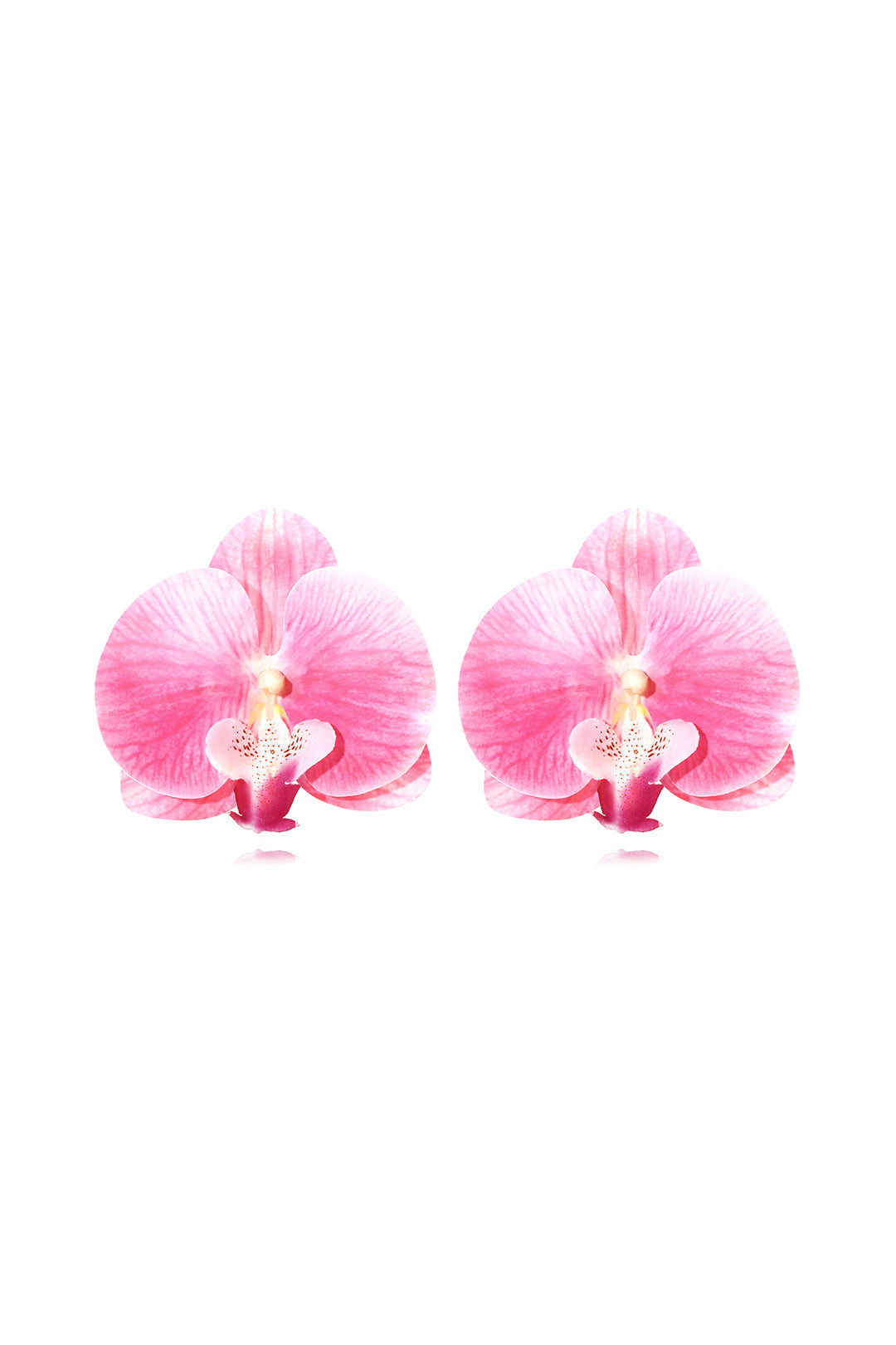 Phalaenopsis Orchid Flower Earrings